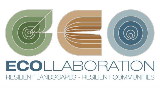ECOllaboration Ltd's logo