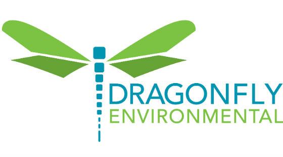 Dragonfly Environmental's logo