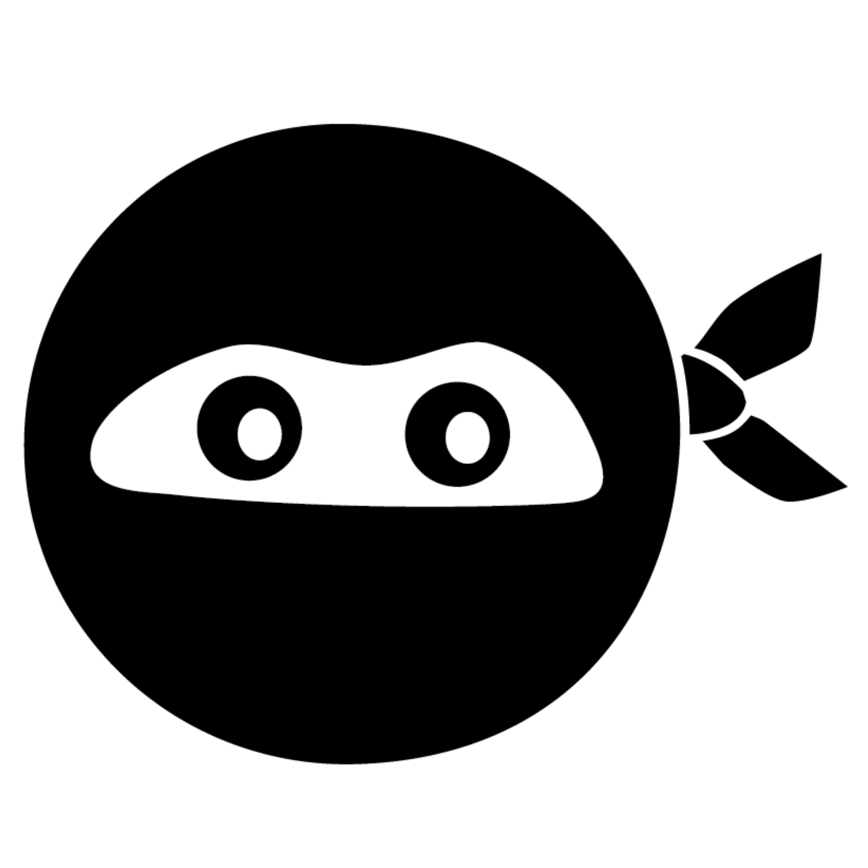 Digital Ninjas Pty Ltd's logo