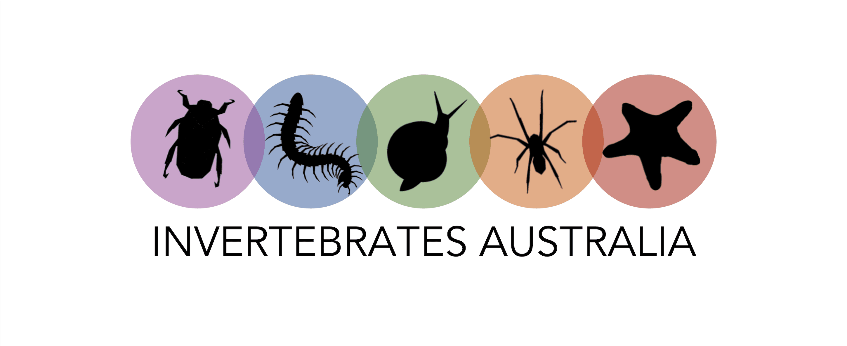 Invertebrates Australia's logo