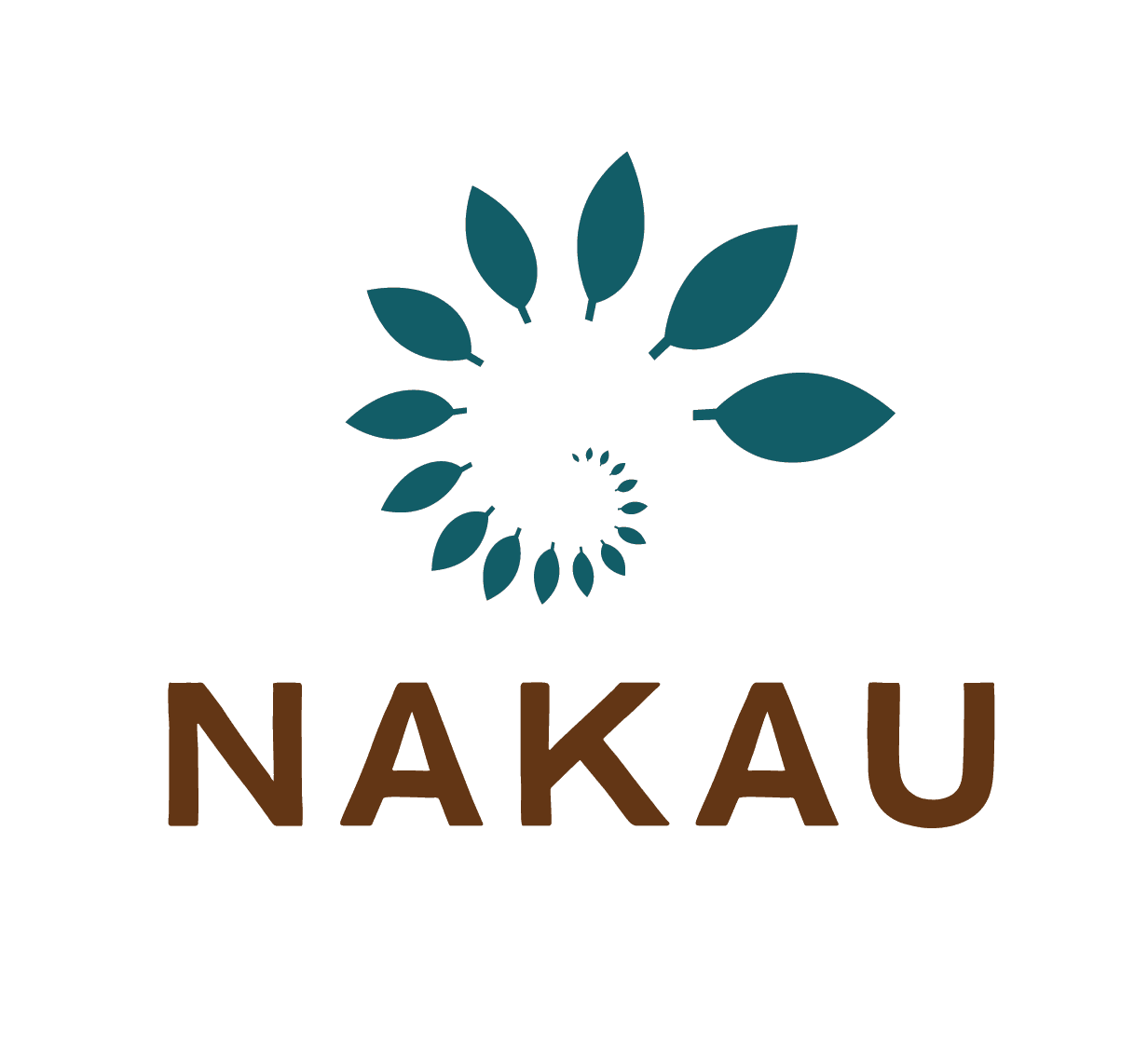 Nakau Programme's logo