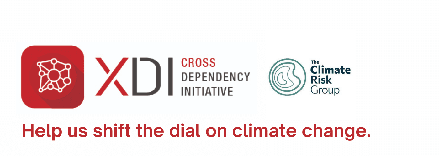The Climate Risk Group / XDI's logo