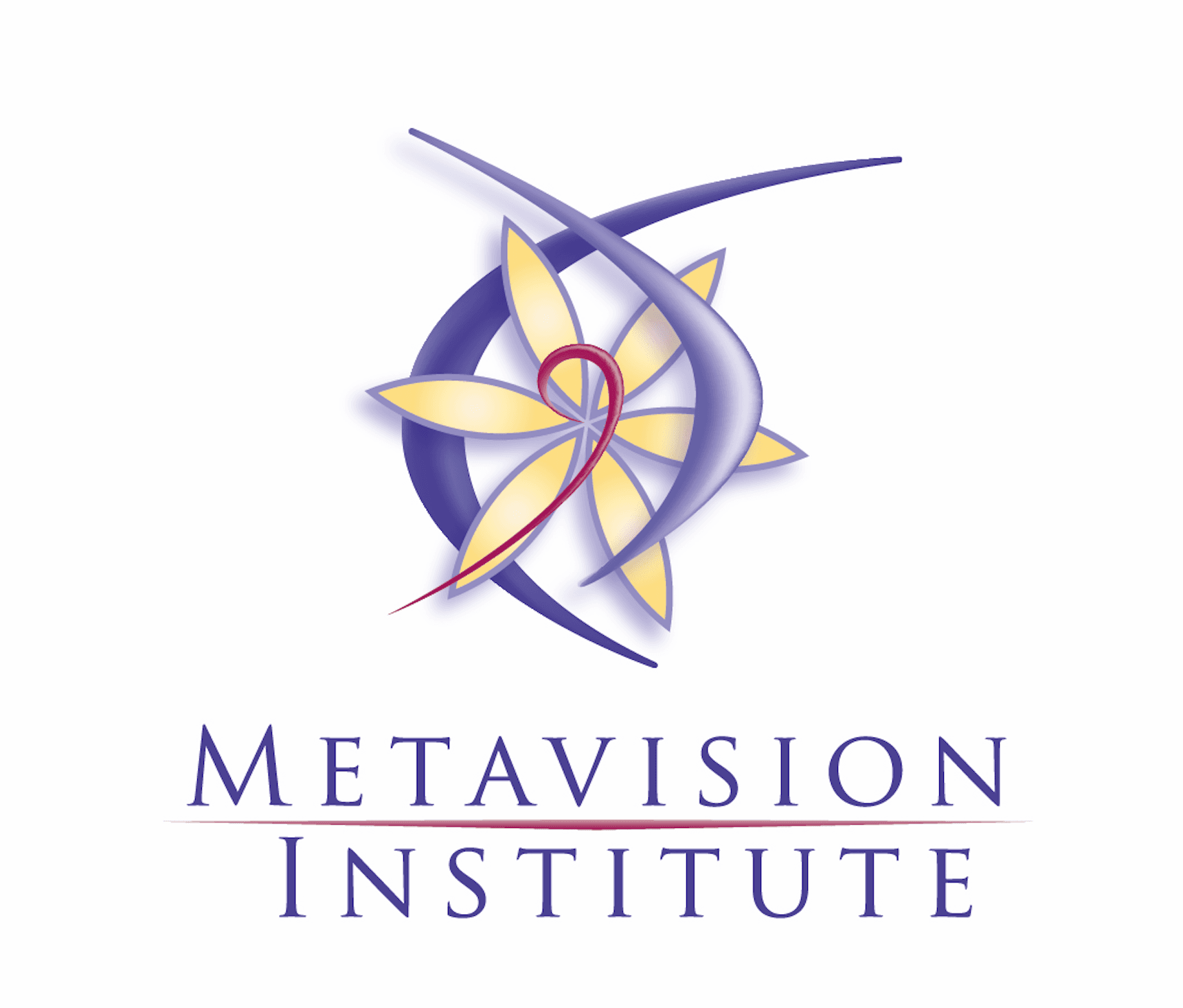 Metavision Institute's logo