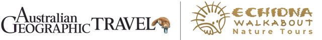 Echidna Walkabout Nature Tours & Australian Geographic Travel's logo