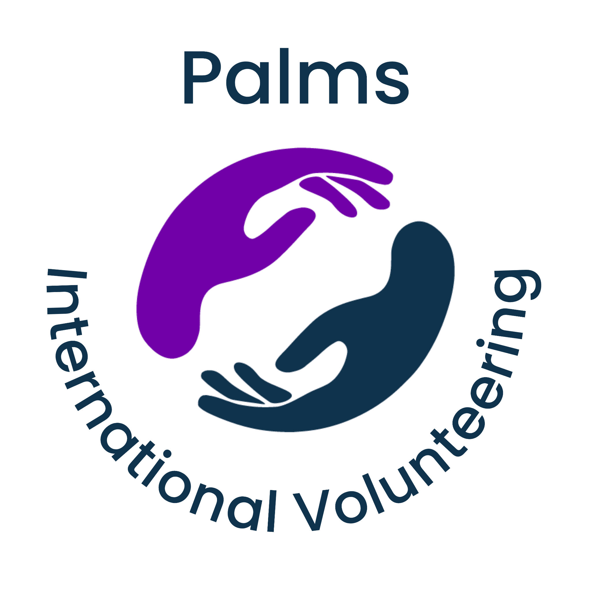 Palms International Volunteering's logo