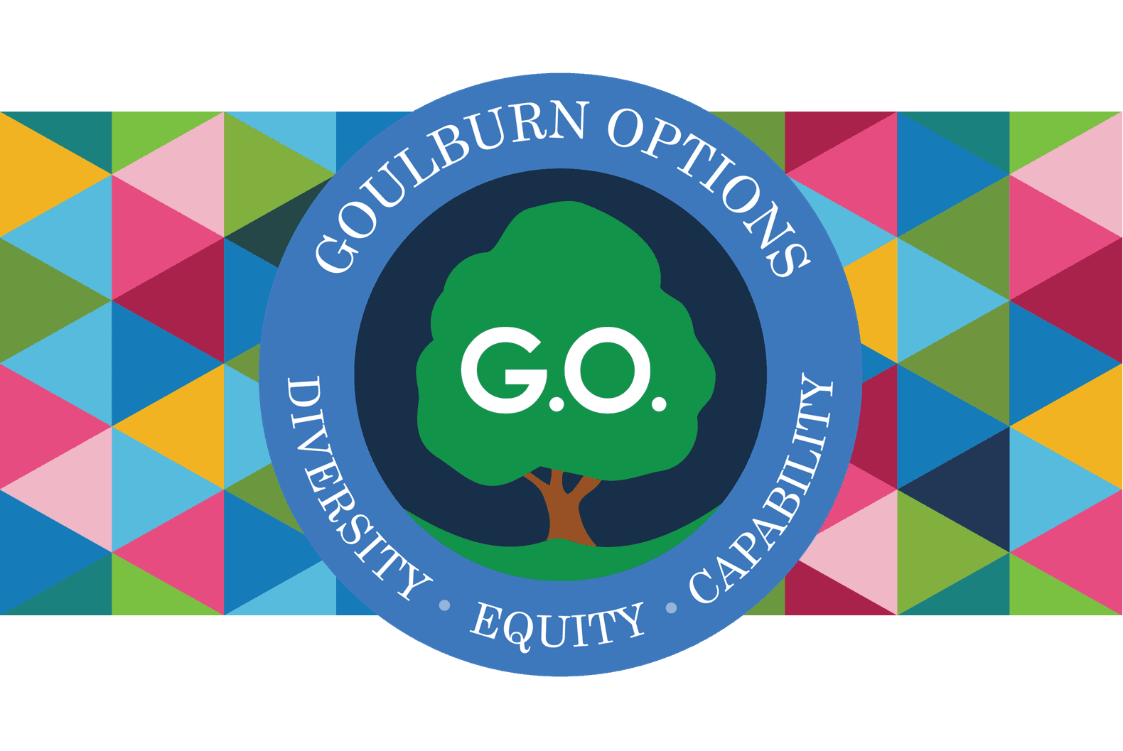 Goulburn Options Inc's logo