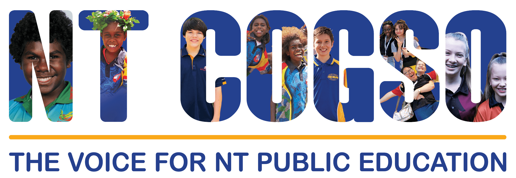 NT COGSO's logo