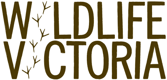 Wildlife Victoria's logo