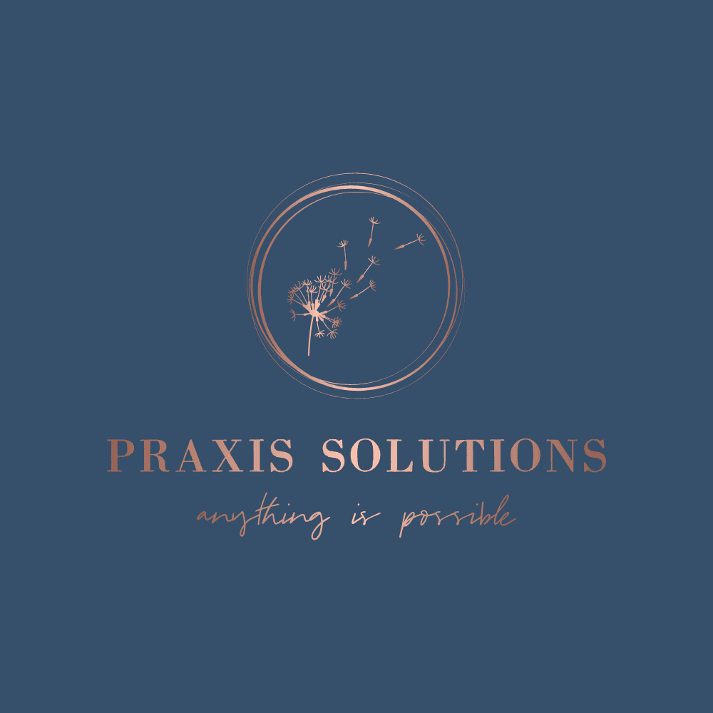 Praxis Solutions's logo