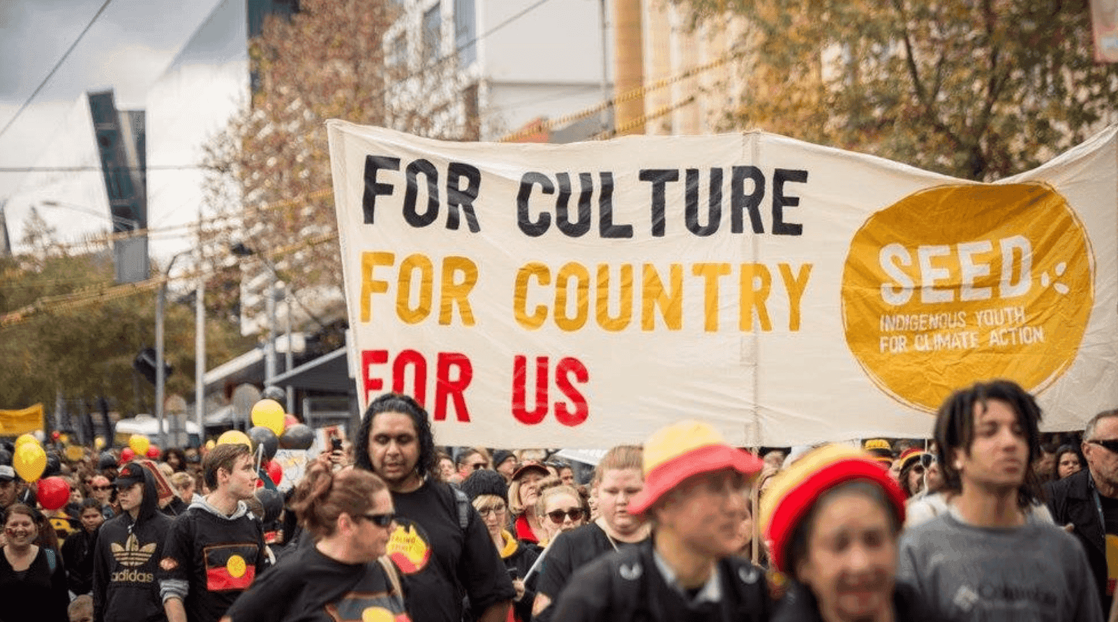 Screen Shot 2024-05-17 at 10.06.06 am Image of Seed Indigenous Youth Climate Network campaign
