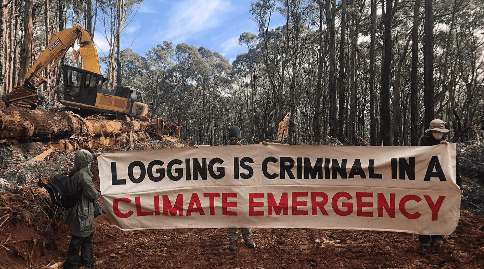 Victorian Forest Alliance Inc Image of Victorian Forest Alliance Inc campaign