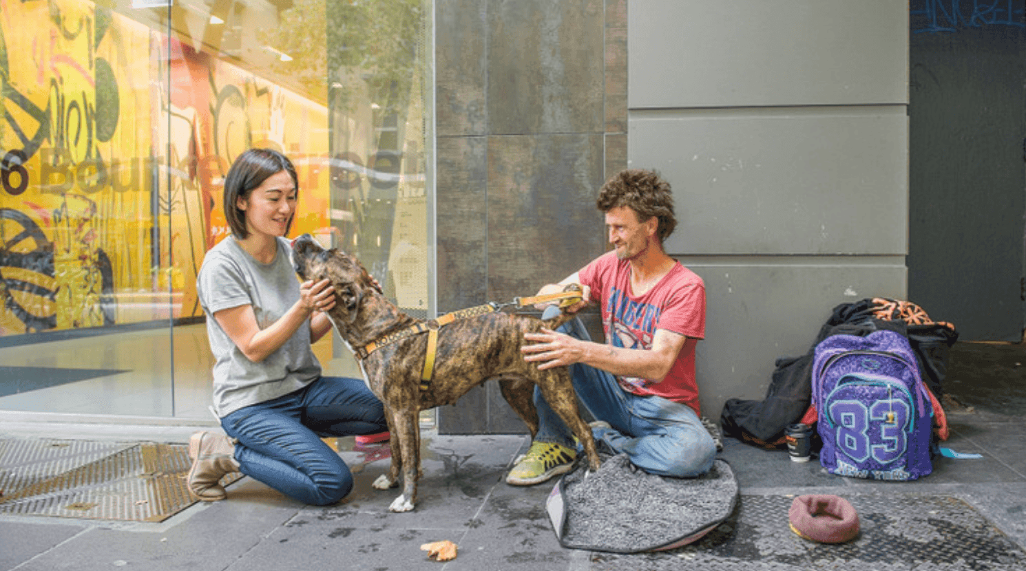 Screen Shot 2024-05-20 at 1.55.30 pm Image of Pets of the Homeless campaign
