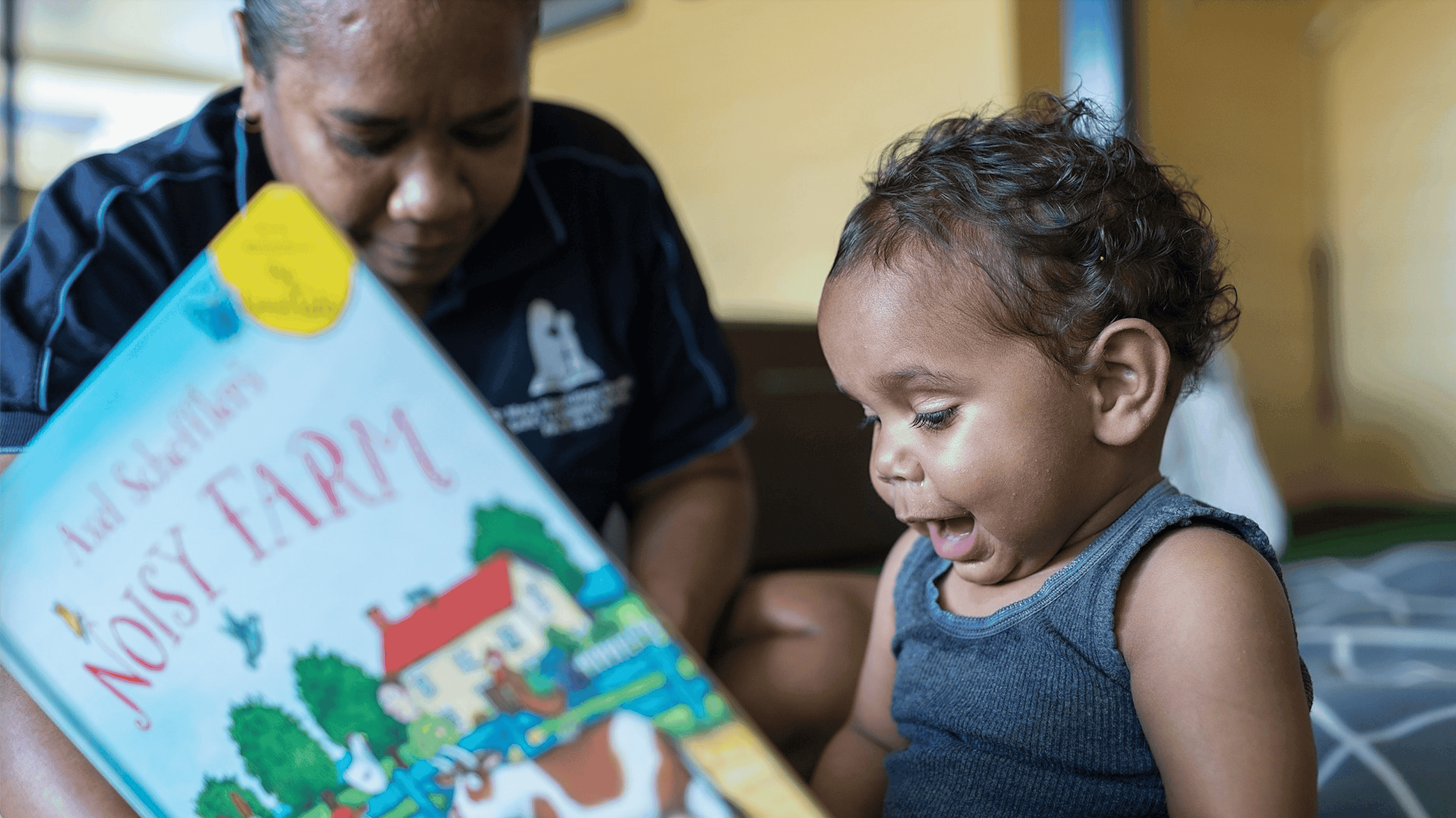 The Australian Literacy and Numeracy Foundation (ALNF) The Australian Literacy and Numeracy Foundation (ALNF)