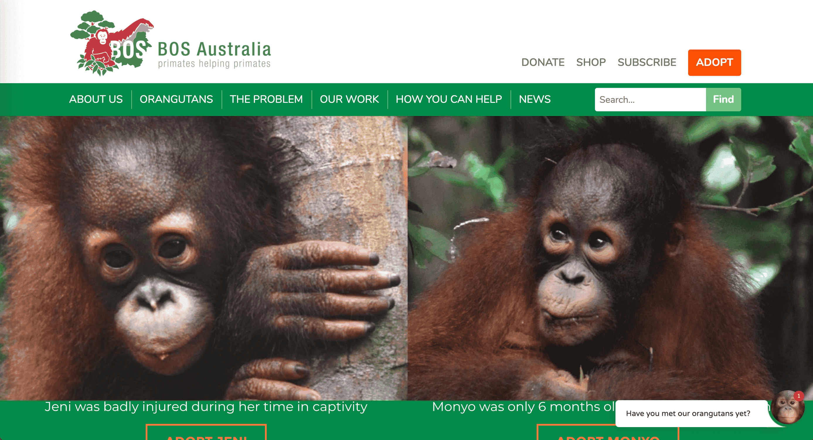 Borneo Orangutan Survival Borneo Orangutan Survival