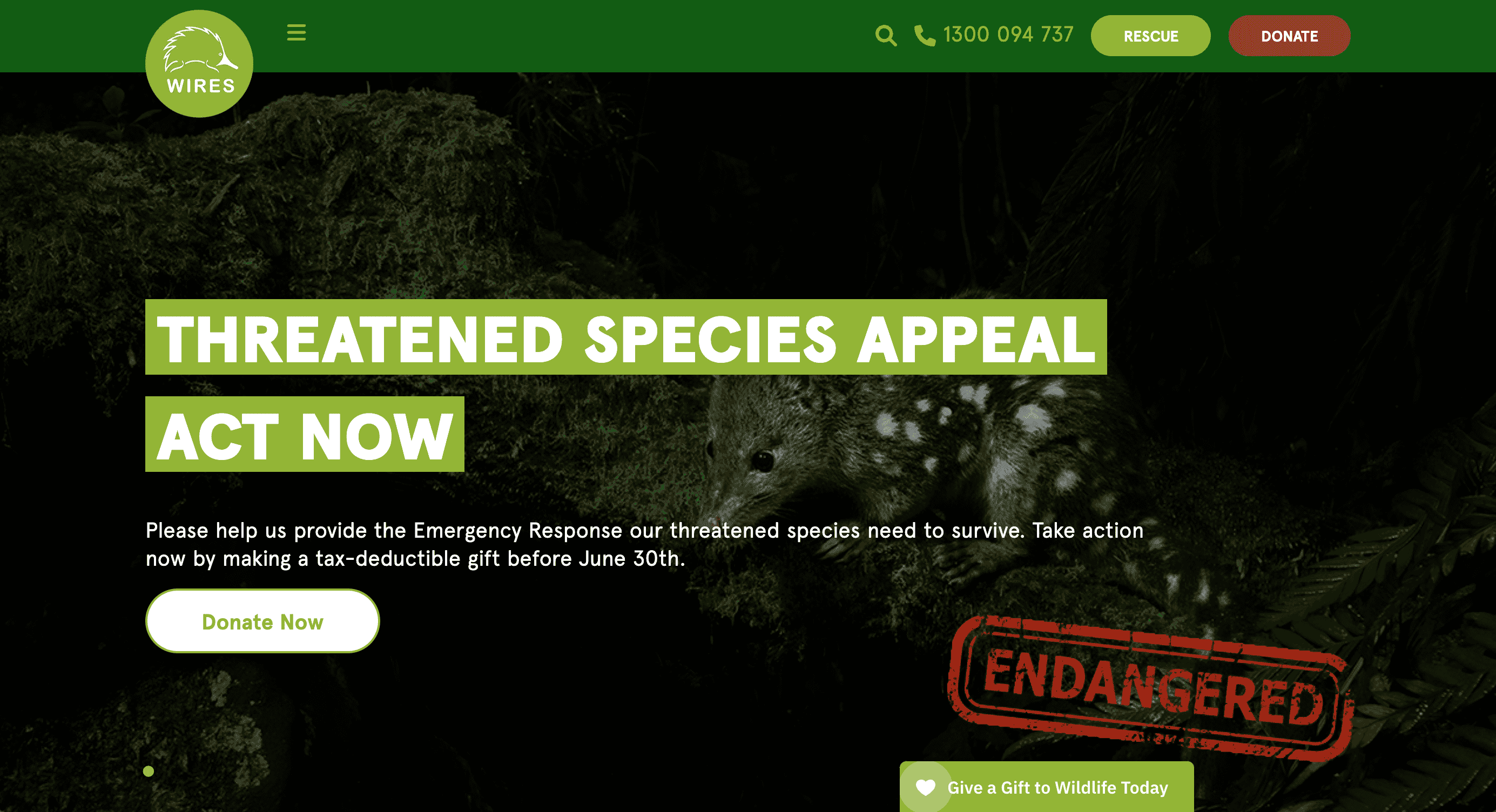 WIRES – NSW Wildlife Service WIRES - NSW Wildlife Service