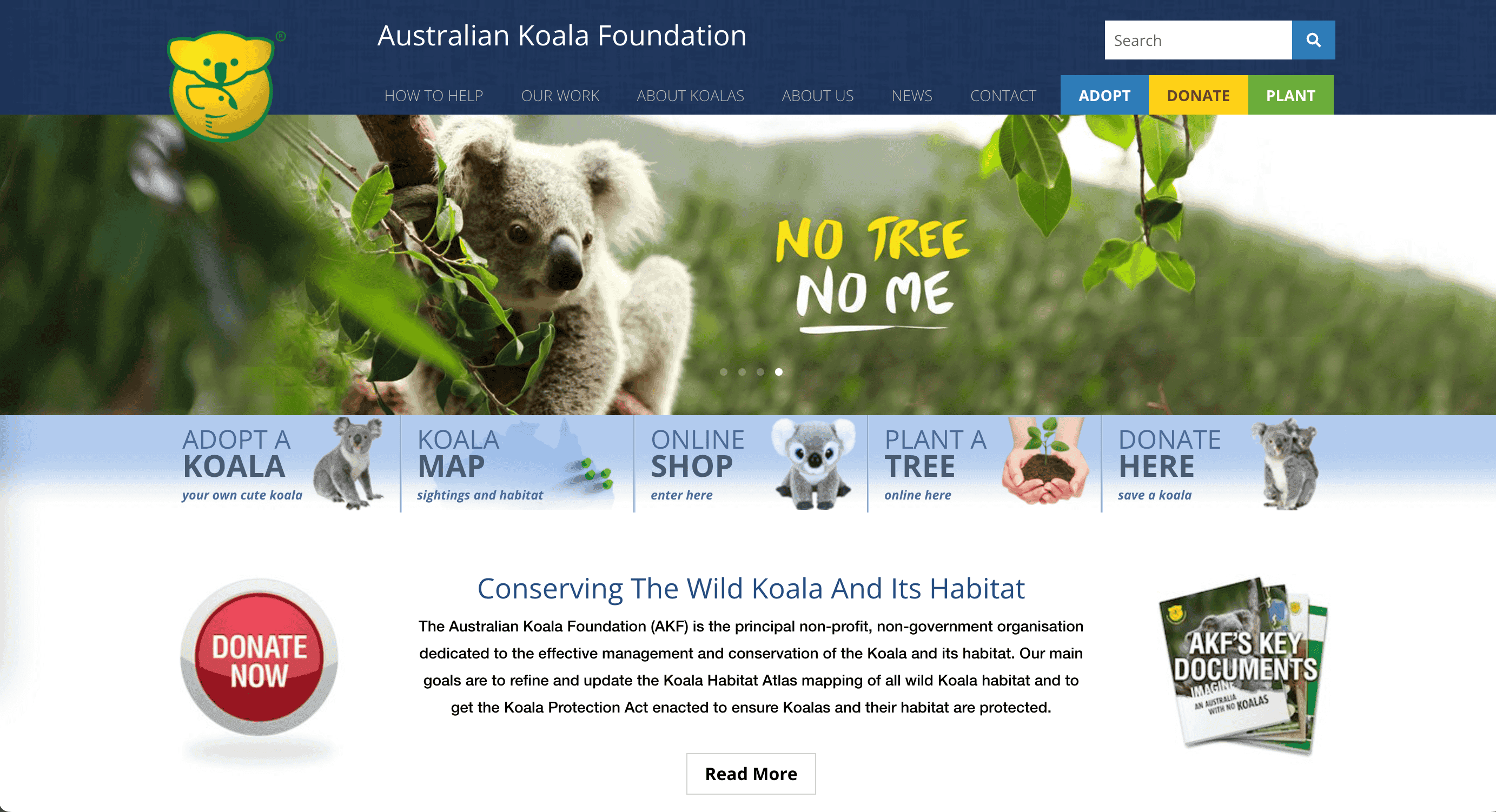 Australia Koala Foundation Australia Koala Foundation