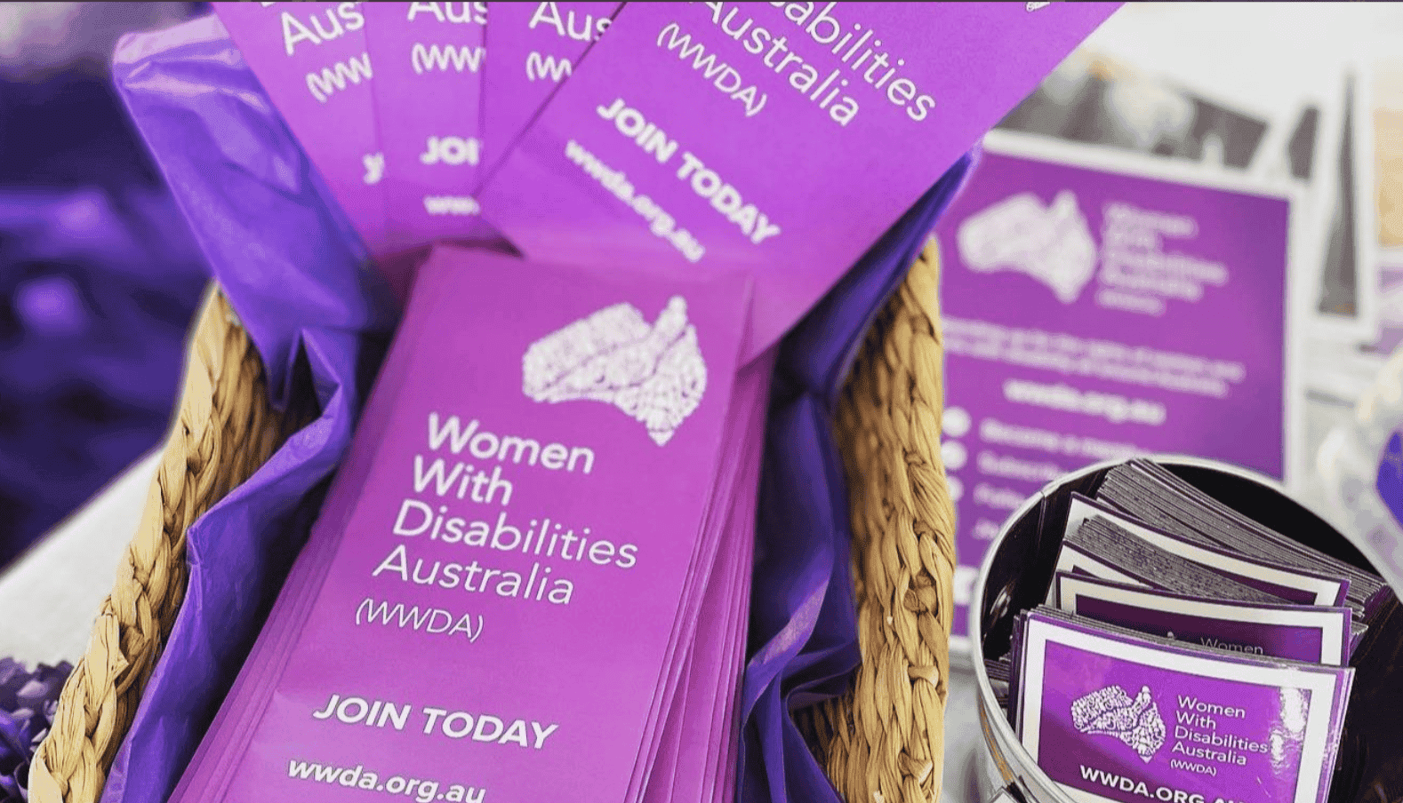Screenshot 2024-06-18 at 2.56.10 PM Image of Women With Disabilities Australia (WWDA) campaign