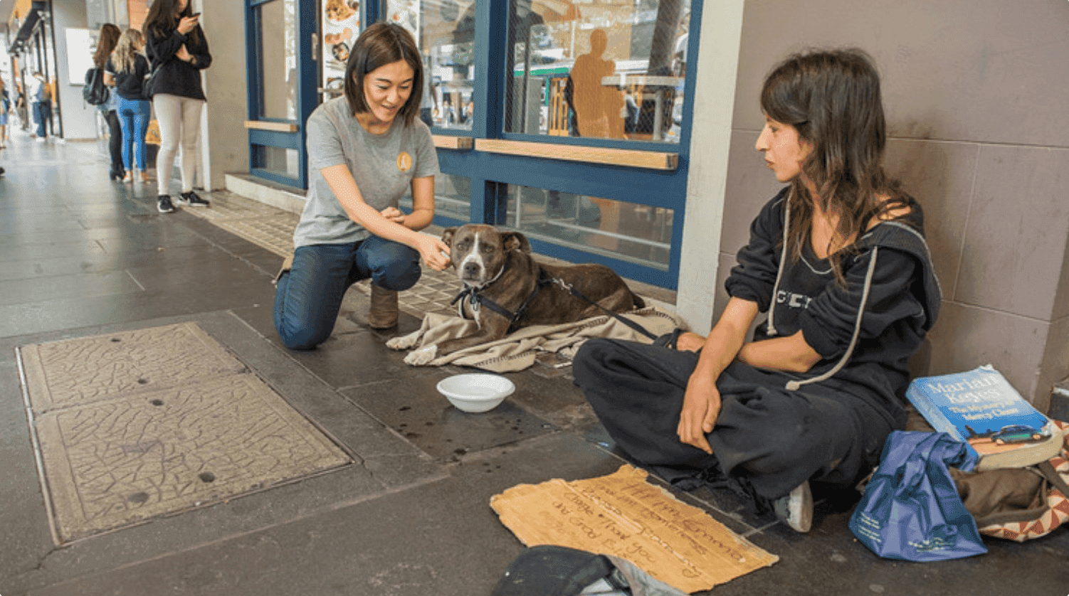 Pets Of The Homeless Ltd Pets Of The Homeless Ltd