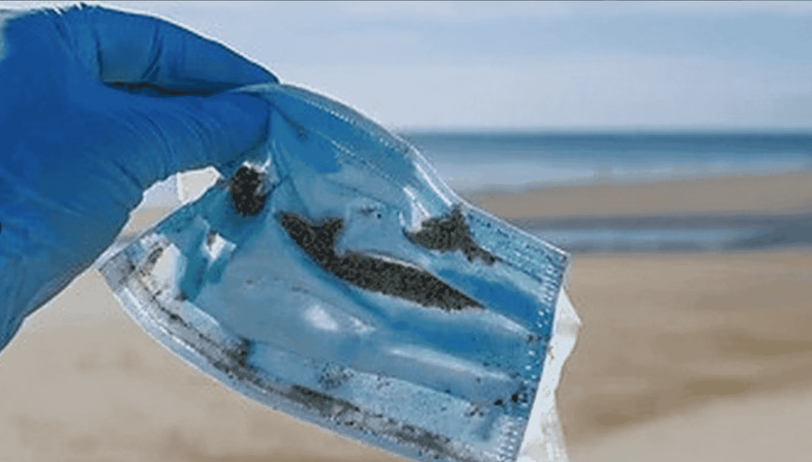Plastic Oceans Australasia Plastic Oceans Australasia