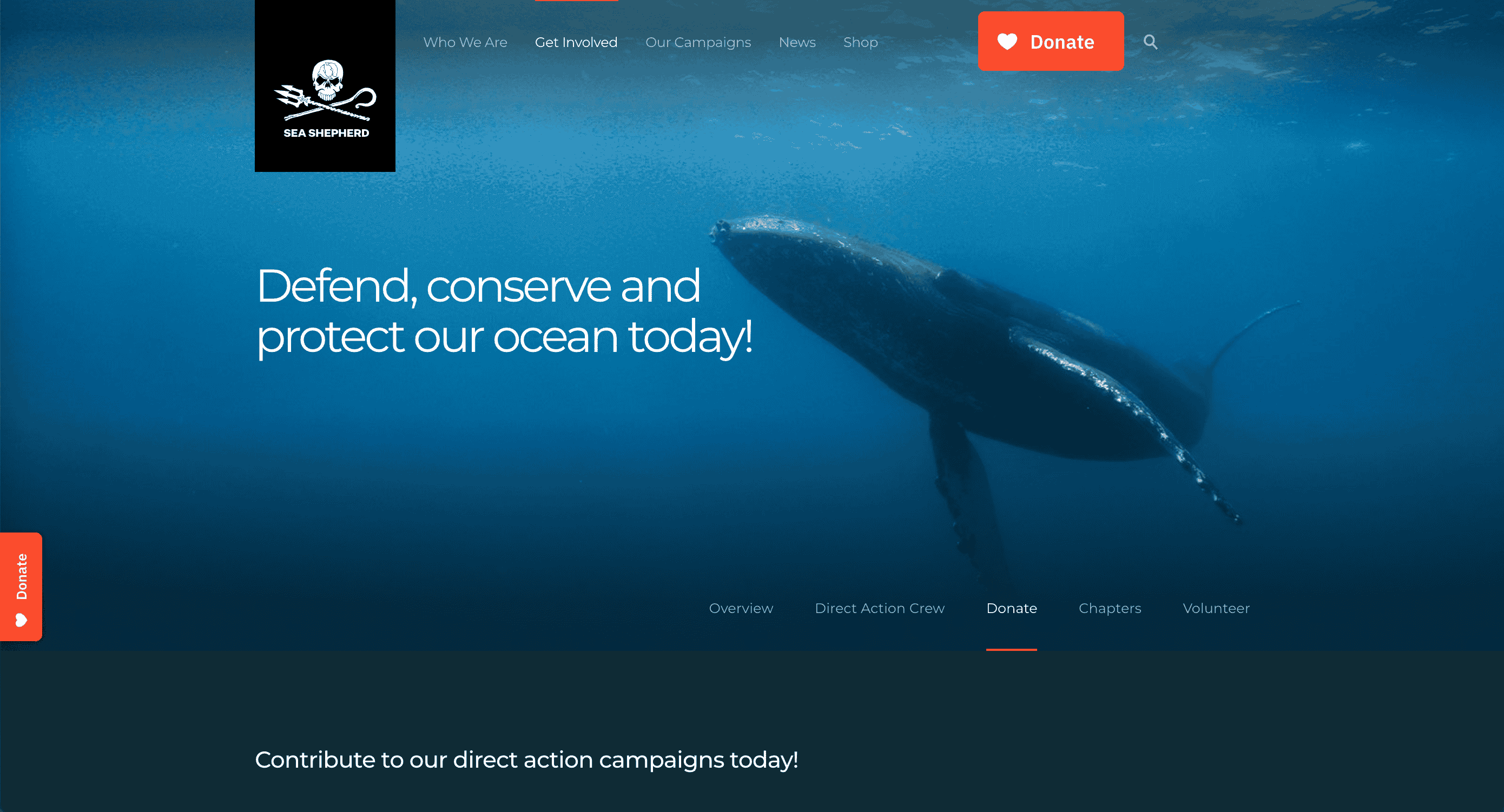 Sea Shepherd Australia Sea Shepherd Australia