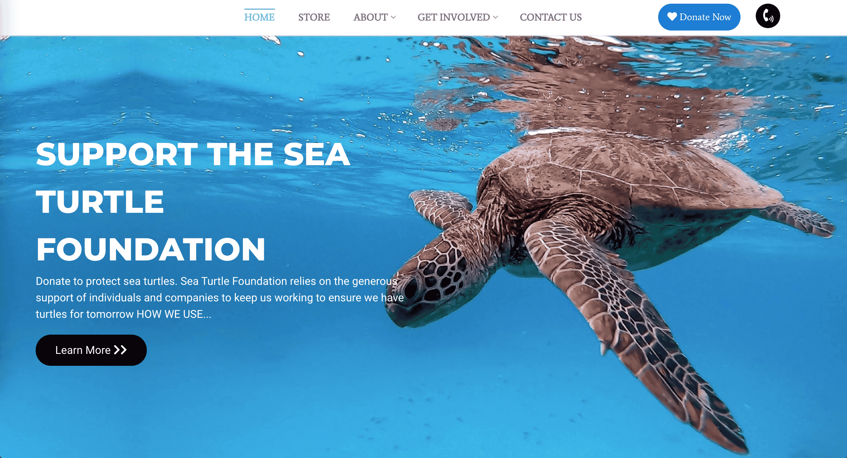 Sea Turtle Foundation Sea Turtle Foundation