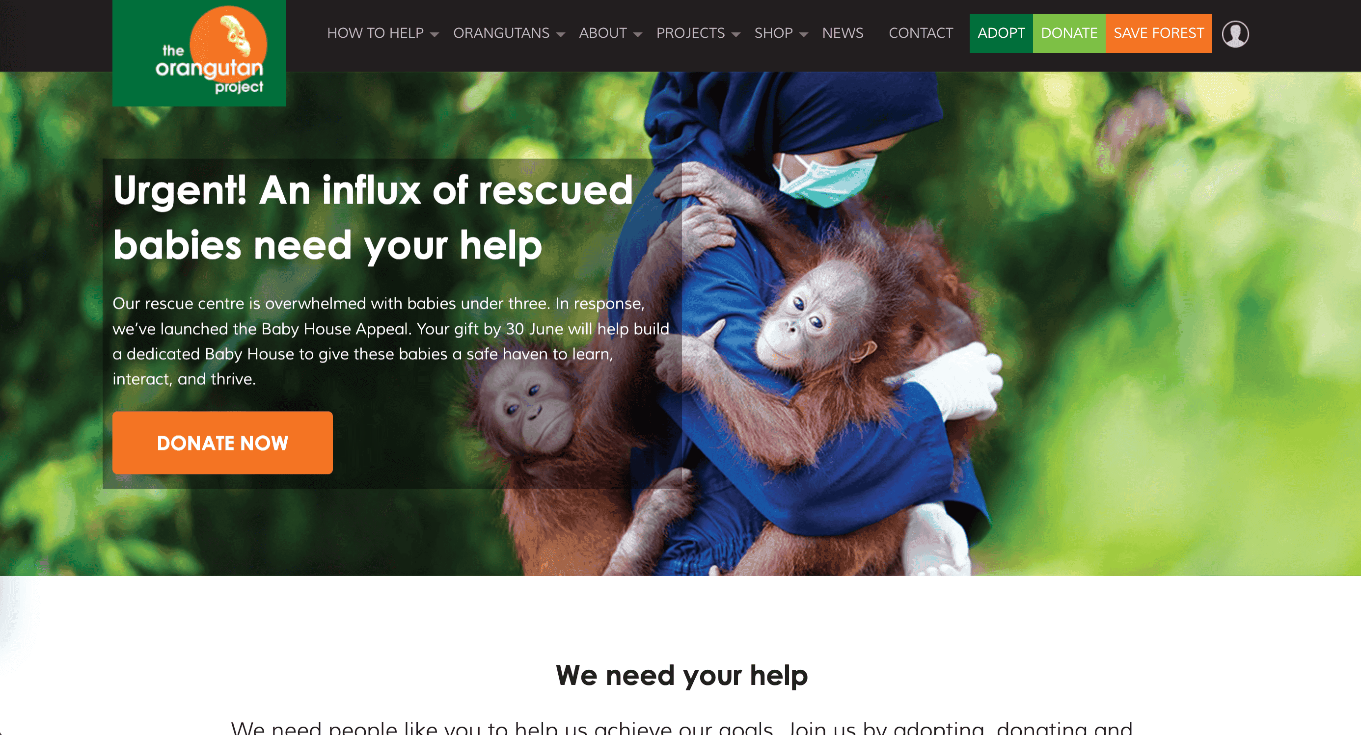 The Orangutan Project The Orangutan Project
