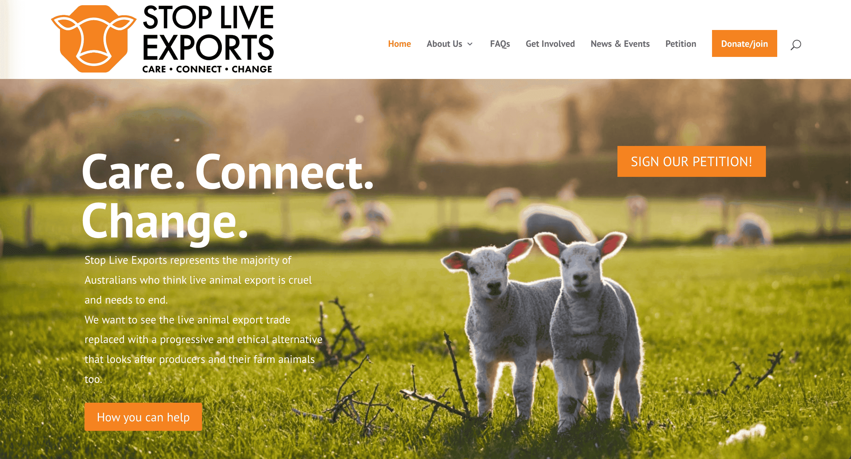 Stop Live Exports Stop Live Exports