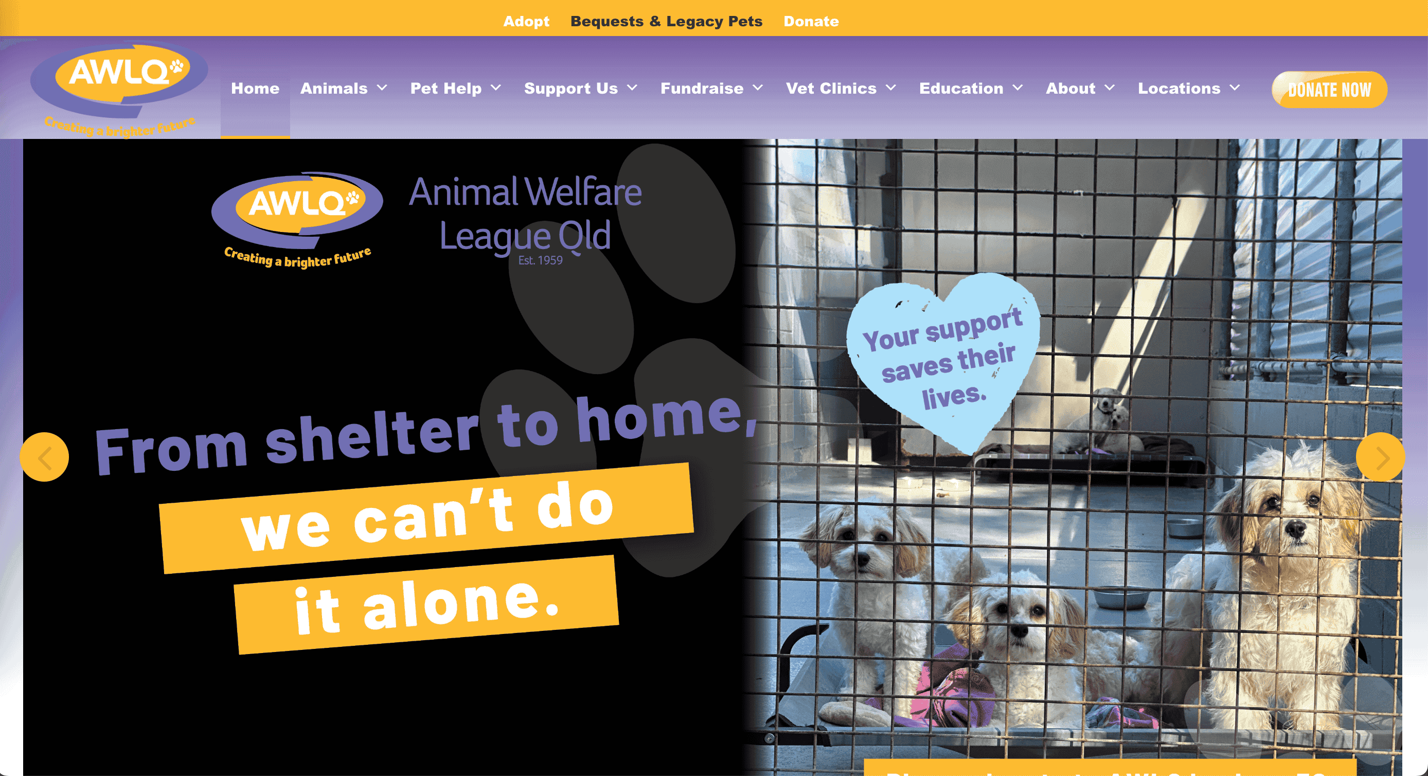 Animal Welfare League QLD Animal Welfare League QLD