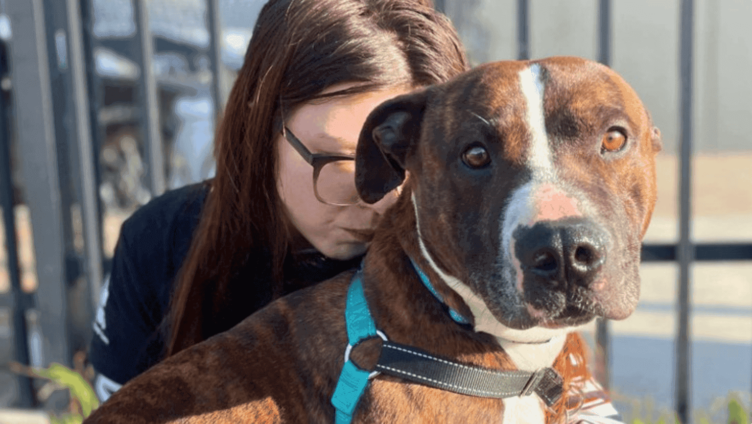 Second Chance Animal Rescue Second Chance Animal Rescue