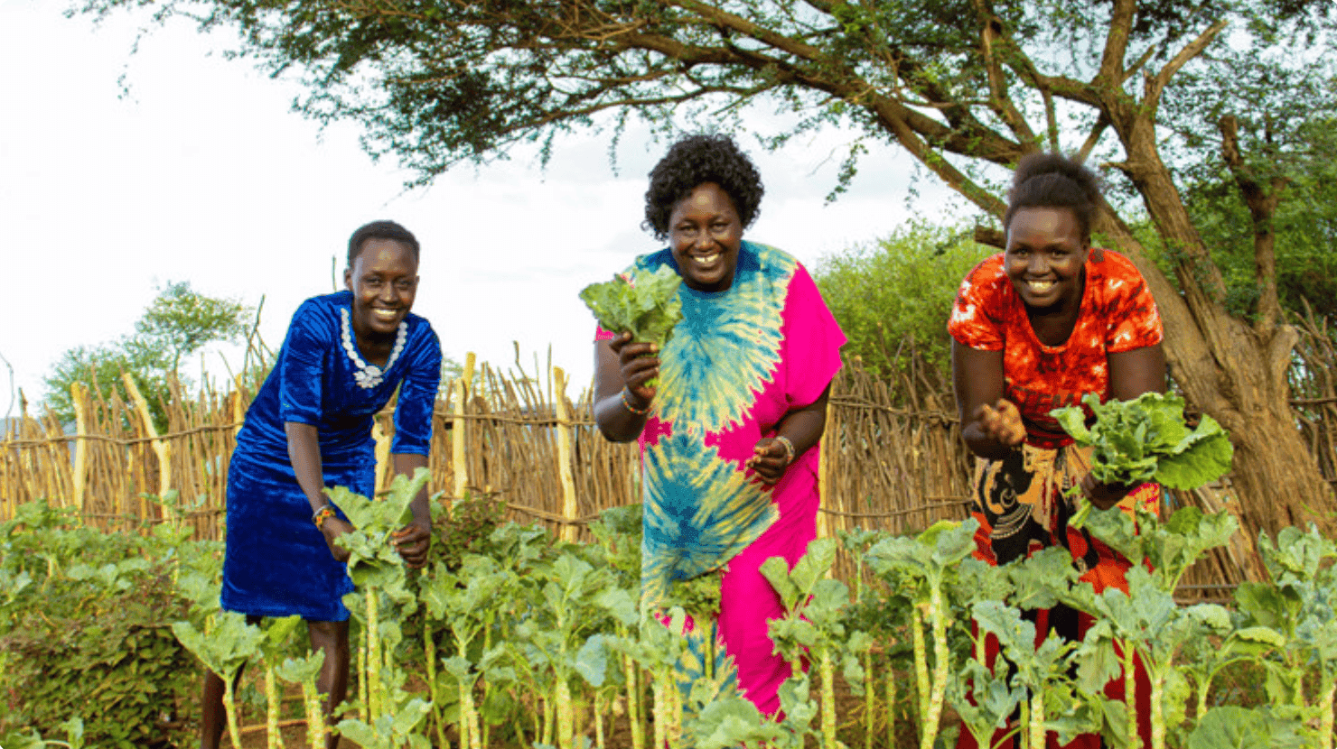 ActionAid Australia ActionAid Australia