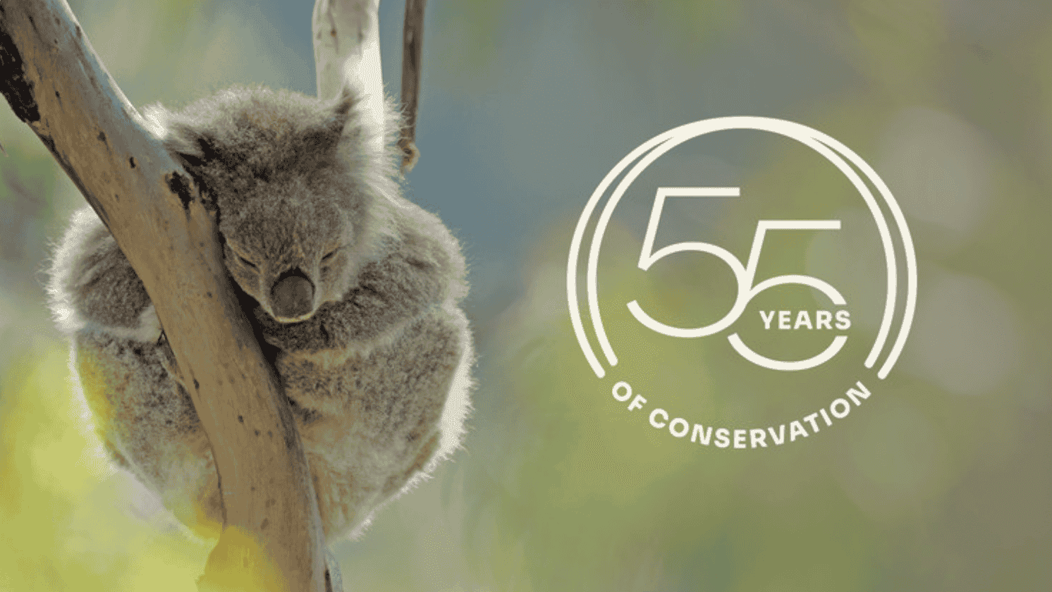 Foundation for National Parks & Wildlife Foundation for National Parks & Wildlife