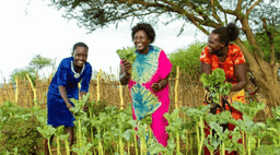 ActionAid Australia