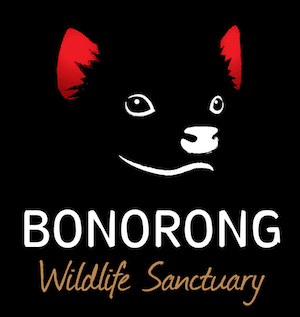 Bonorong Wildlife Sanctuary's logo