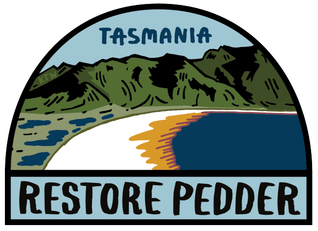 Restore Lake Pedder's logo