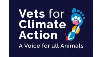 Vets for Climate Action's logo