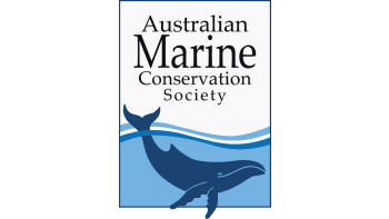 Australian Marine Conservation Society's logo