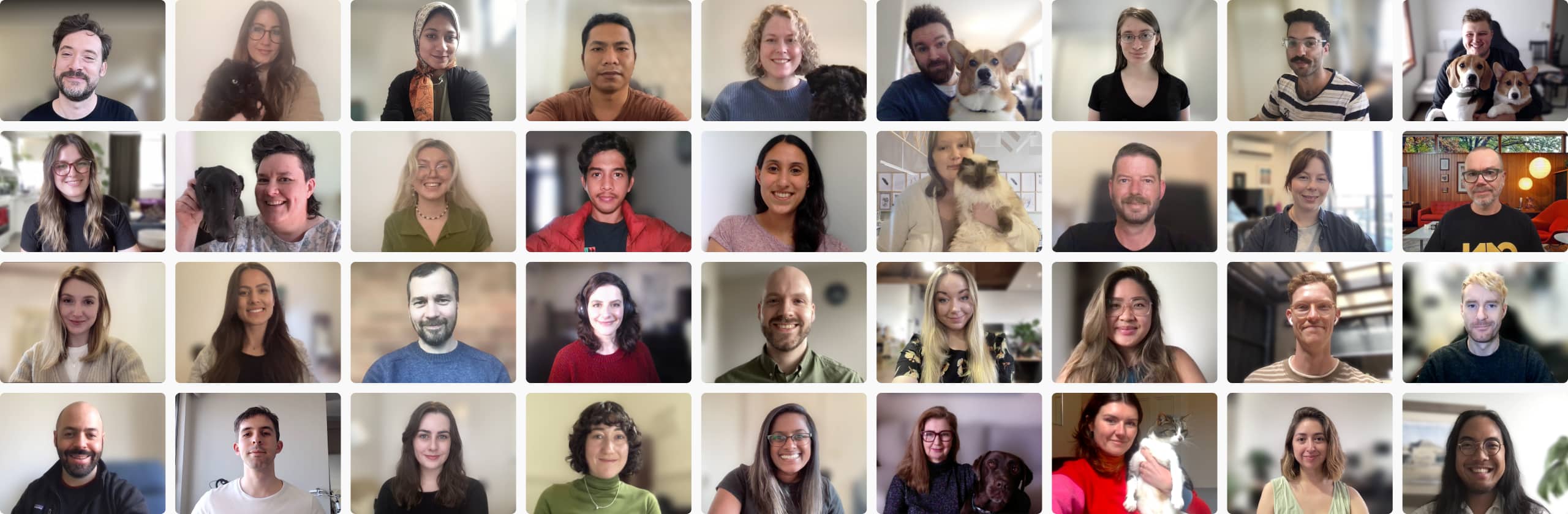 Collage of Ethical Jobs team members